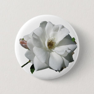White Roses Party Shower Wedding Blossoms Destiny 6 Cm Round Badge