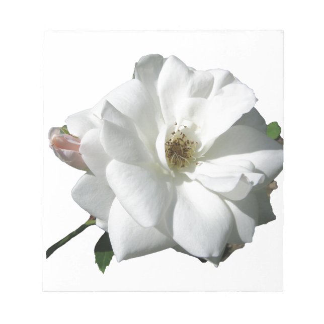 White Roses Party Shower Wedding Blossoms Destiny Notepad (Front)