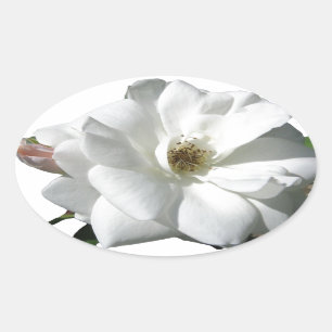 White Roses Party Shower Wedding Blossoms Destiny Oval Sticker