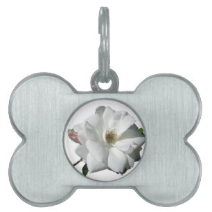 White Roses Party Shower Wedding Blossoms Destiny Pet Tag