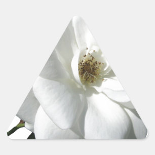 White Roses Party Shower Wedding Blossoms Destiny Triangle Sticker