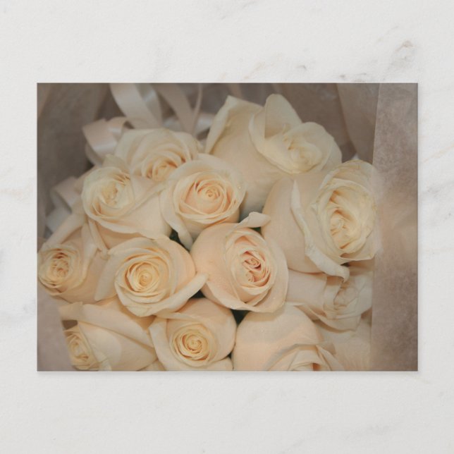 White Roses Postcard (Front)