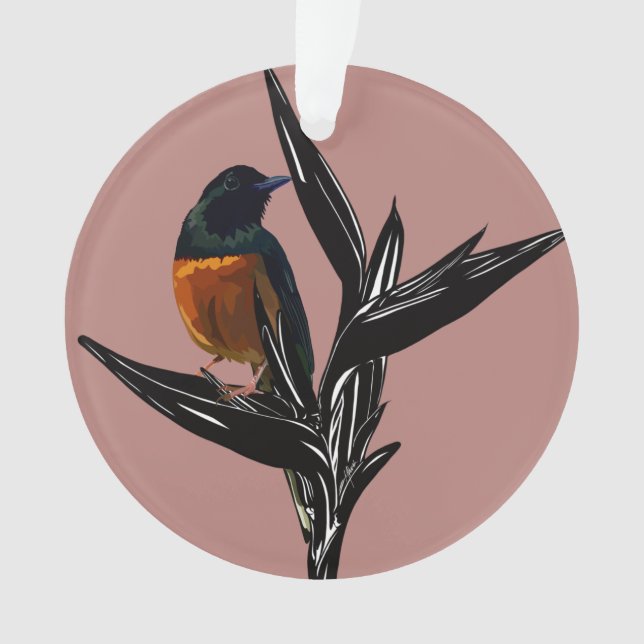 White-Rumped Shama bird Acrylic Ornament (Front)