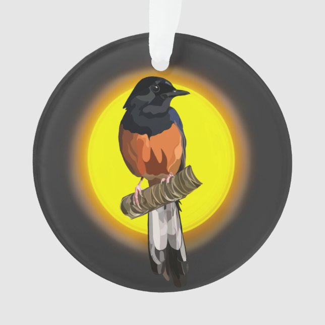 White-Rumped Shama Bird Ornament (Front)