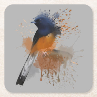 White Rumped Shama Bird Square Paper Coaster
