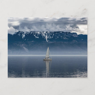 White Sailboat on Water Postcard