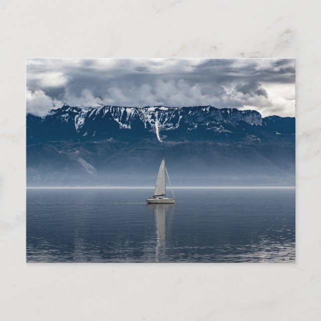 White Sailboat on Water Postcard (Front)