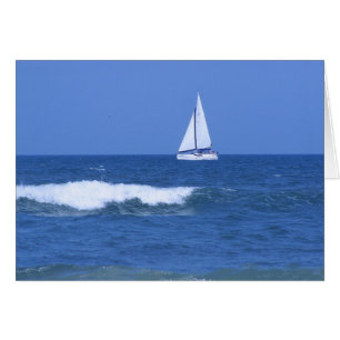 White Sailboat Photograph