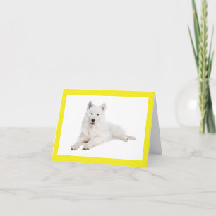 White Samoyed Puppy Dog Blank Note Card