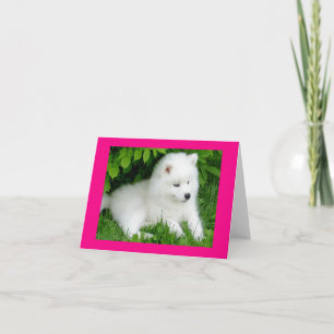 White Samoyed Puppy Dog Blank Note Card