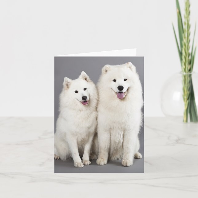 White Samoyed Puppy Dog - Hello, Thinking Of You Card (Front)