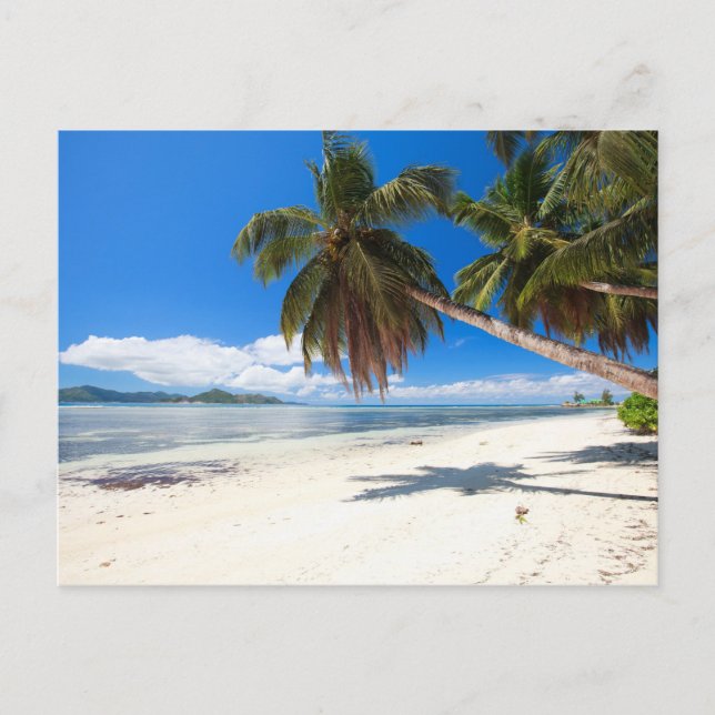 White sand beach postcard (Front)