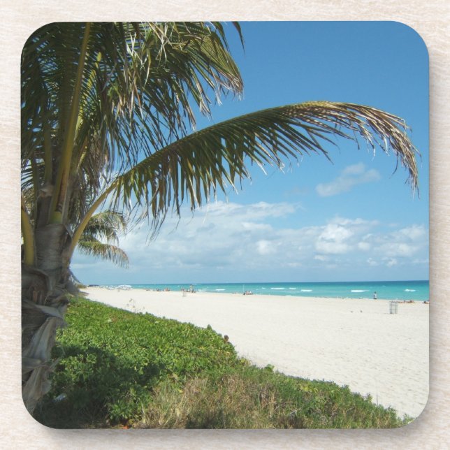 White Sand Beach w/Palm Coaster (Front)