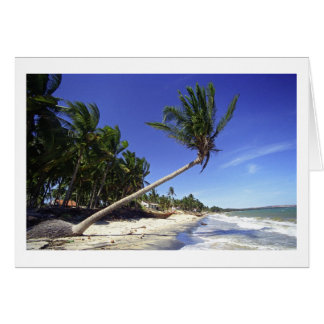 White-sand Beach with Palm Trees, Mui Ne (Vietnam)