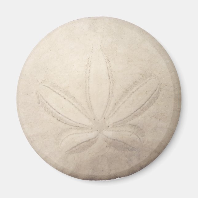 White Sand Dollar Magnet (Front)