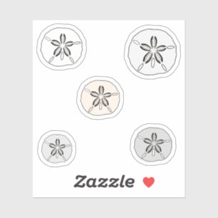 White sand dollars