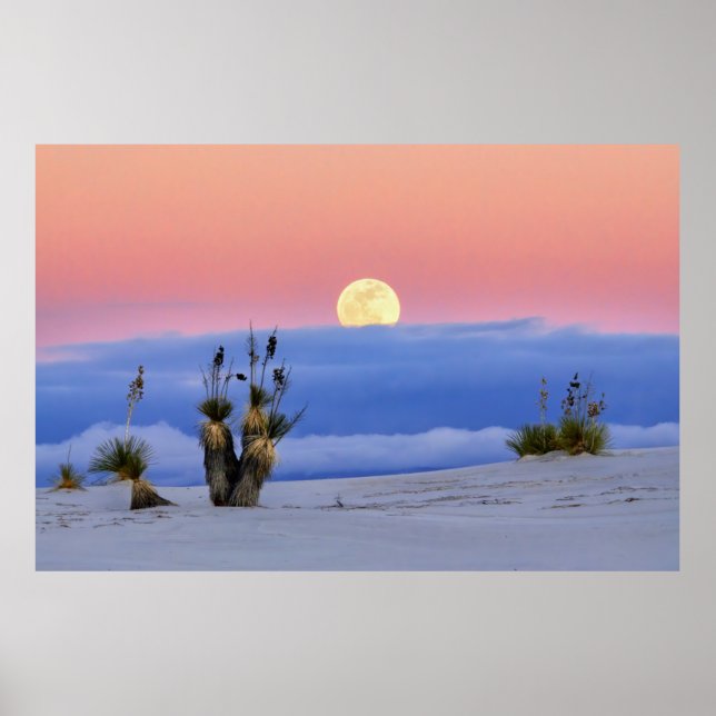 WHITE SAND POSTER (Front)