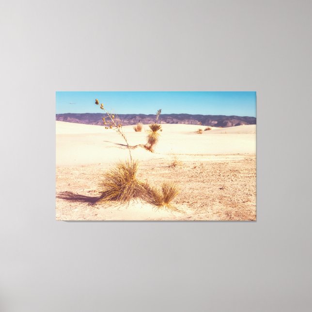 White Sand Yuccas  Canvas Print (Front)