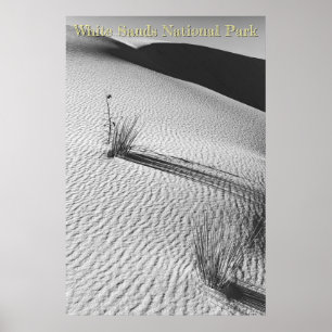White Sands Dunes Landscape Black and White Poster