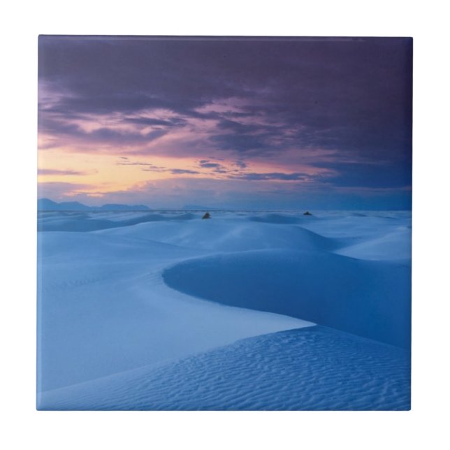 White Sands National Monument 2 Tile (Front)
