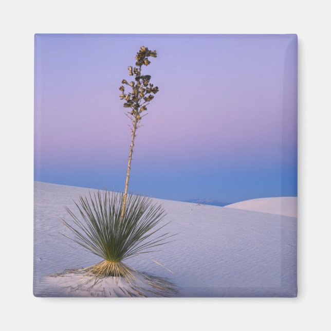 WHITE SANDS NATIONAL MONUMENT, NEW MEXICO. MAGNET (Front)