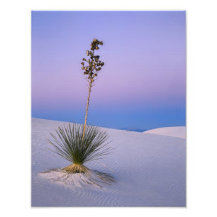 WHITE SANDS NATIONAL MONUMENT, NEW MEXICO. PHOTO PRINT