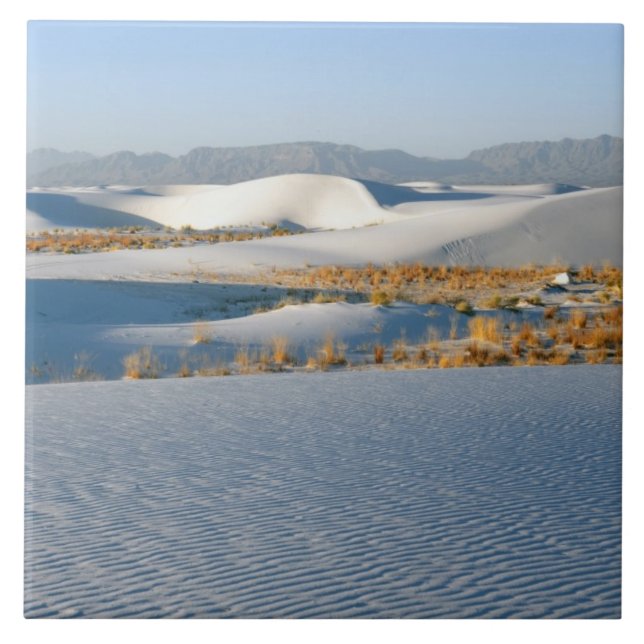 White Sands National Monument, Transverse Dunes Tile (Front)
