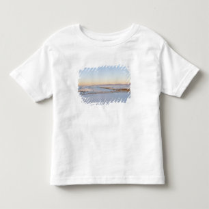 White Sands National Monument, Transverse Dunes Toddler T-Shirt