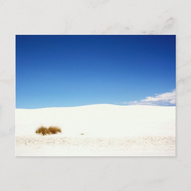 White Sands National Park, New Mexico Postcard (Front)