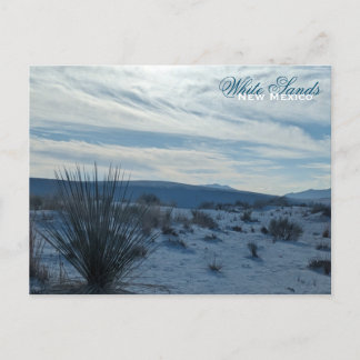 White Sands New Mexico Desert Southwest Sand Dunes Postcard