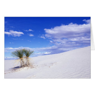 White Sands NM, New Mexico, USA
