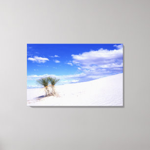 White Sands NM, New Mexico, USA Canvas Print