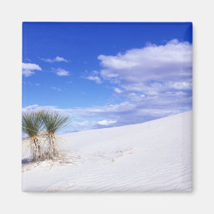 White Sands NM, New Mexico, USA Magnet