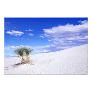 White Sands NM, New Mexico, USA Photo Print