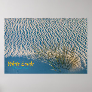 White Sands Yucca Poster