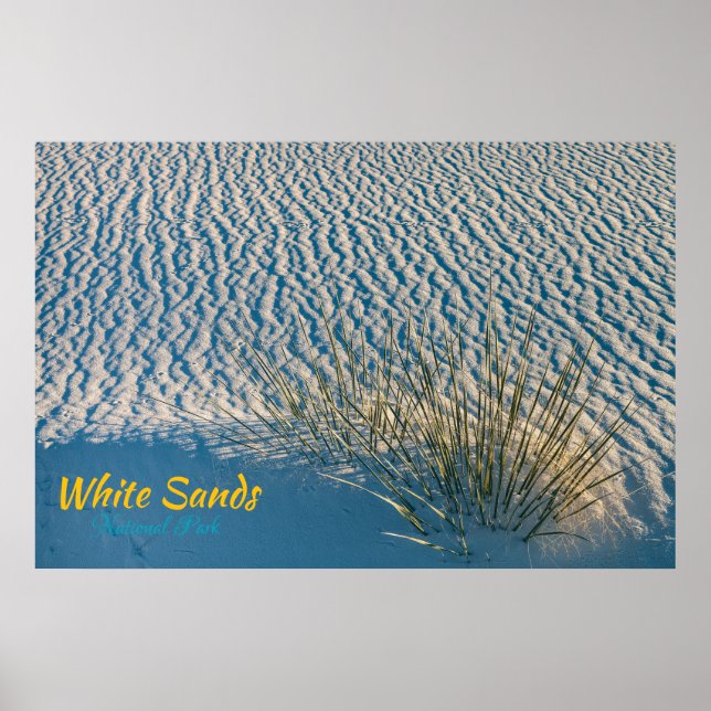 White Sands Yucca Poster (Front)