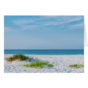 White Sandy Beach Florida Coastline Greeting Card
