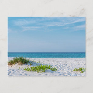 White Sandy Beach Florida Coastline Postcard