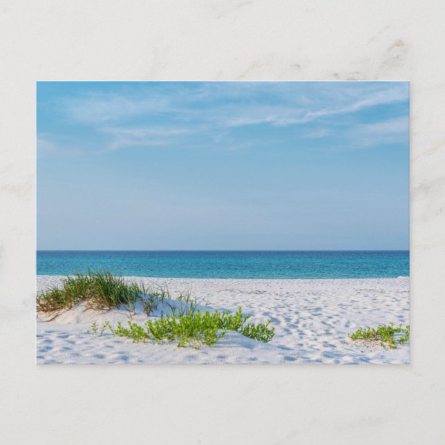 White Sandy Beach Florida Coastline Postcard (Front)