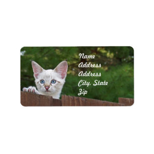 White Savannah Cat Address Sticker