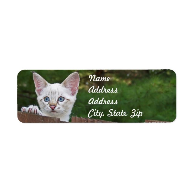 White Savannah Cat Return Address Sticker (Front)