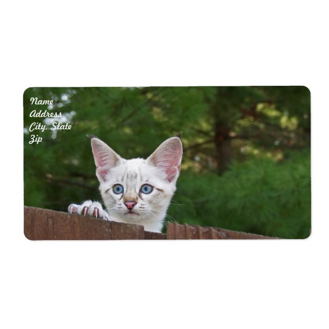 White Savannah Cat Shipping Label (Front)