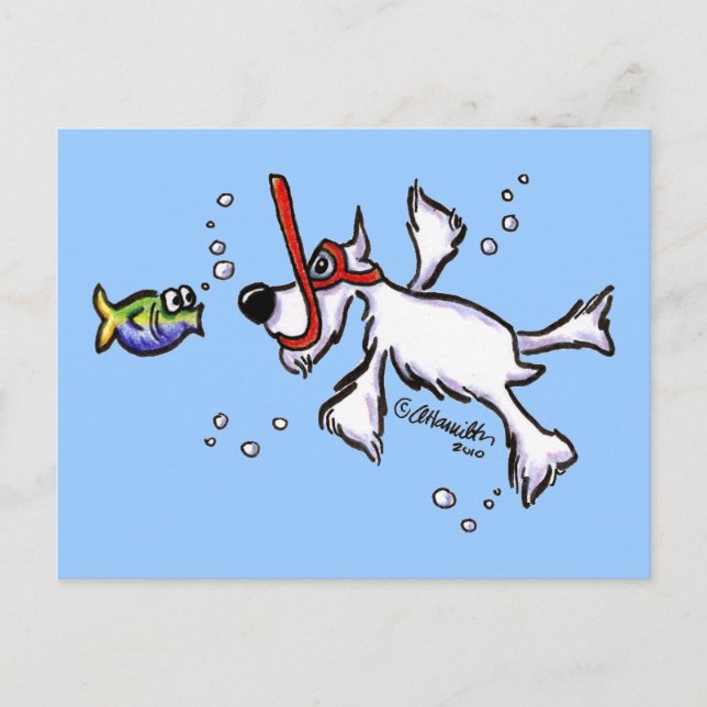 White Schnauzer Snorkelling Under Blue Sea Postcard (Front)