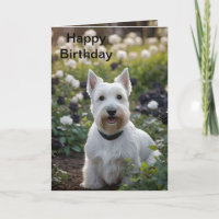 White Scottish Terrier In Black White Roses, Bday 