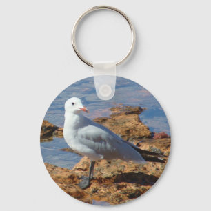 White Seagull - Keychain