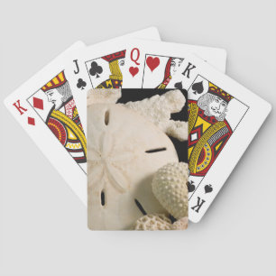 White Seashells And Sand Dollar Playing Cards
