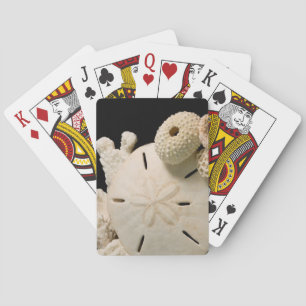 White Seashells And Sand Dollar Playing Cards