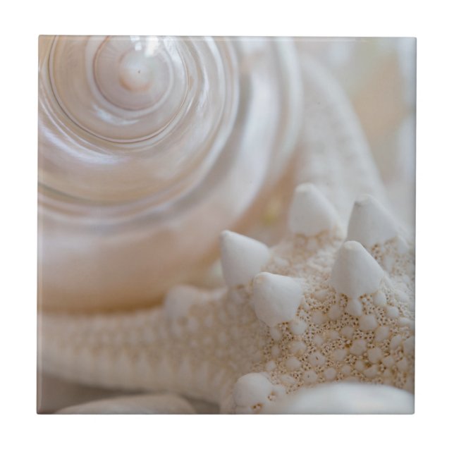 White Seashells Starfish Tropical Beach Sea Shells Tile (Front)
