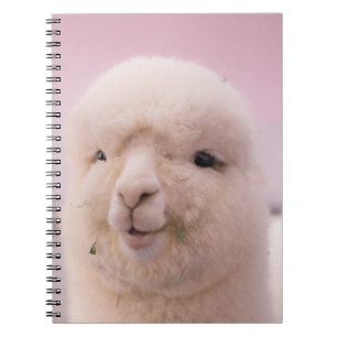 WHITE SHEEP IN CLOSE UP PHOTOGRAPHY NOTEBOOK