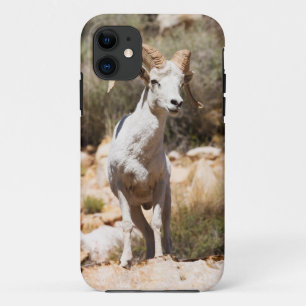 White Sheep Of The Family Case-Mate iPhone Case